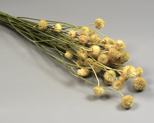 Image for Cicek 80gr natur