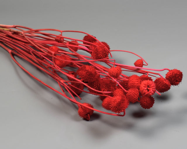 Image for Cicek 80gr rosu