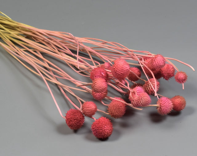 Image for Cicek 80gr roz