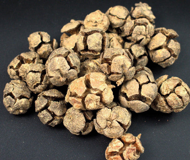 Image for Roade chiparos auriu