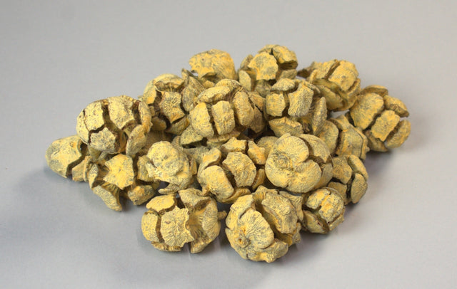 Image for Roade chiparos vop. galben