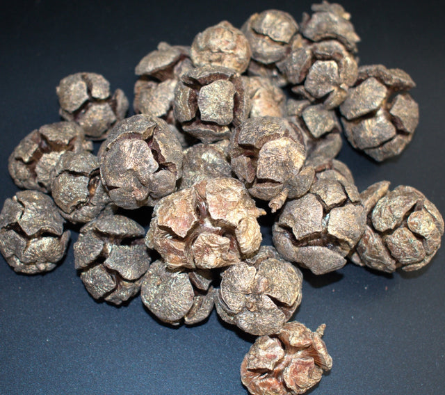 Image for Roade chiparos natur