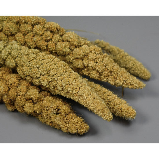 Ciumiz 100g natur