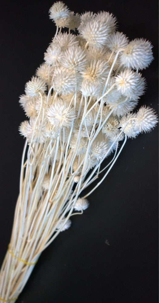 imagine produs Cicek 80gr inalbit