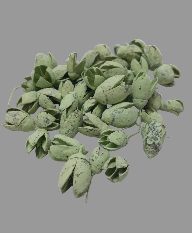 Bakuli vopsit verde deschis