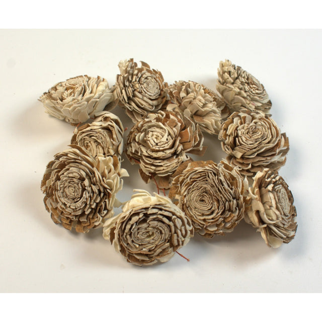 Capete anemone ming 6cm cirmos natur