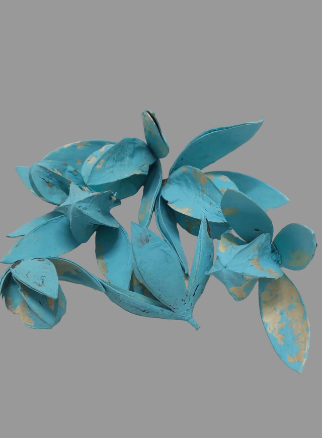 Wild lily vopsit aqua