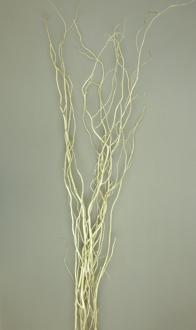 Image for Salcie rasucita 170cm inalbit