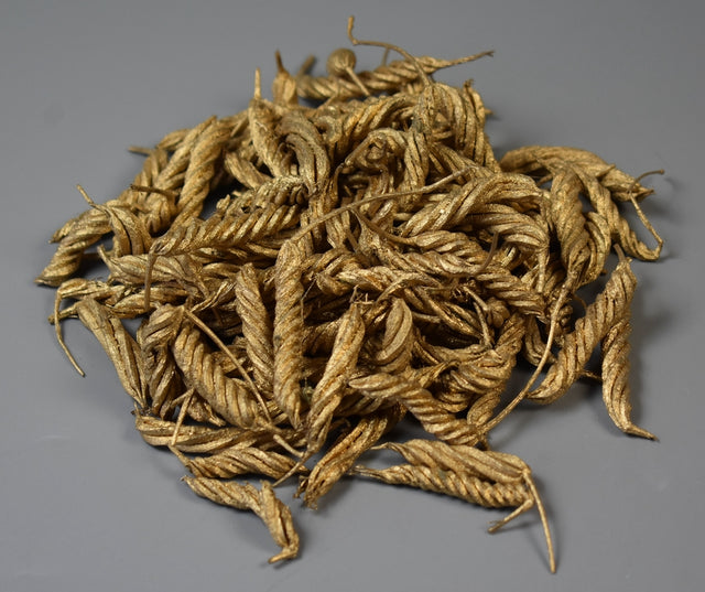 Image for Taitei auriu