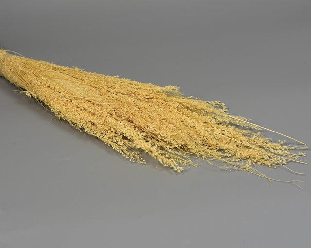 Image for Iarba inalbit