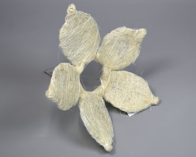 Image for Suport buchet sisal forma floare 20cm alb