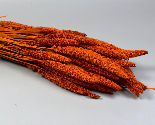 Image for Ciumiz 100gr portocaliu