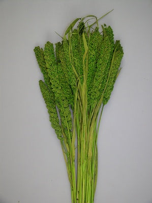 Image for Ciumiz 100g verde deschis