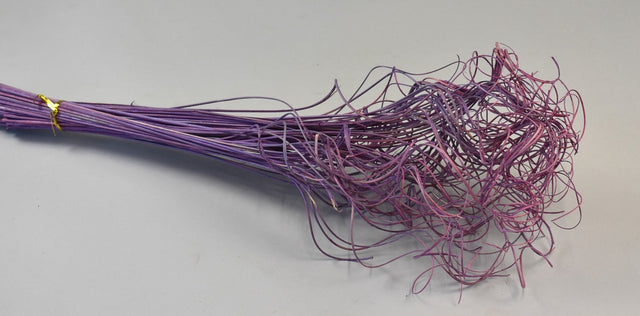 Image for Curly ting ting inalbit mov