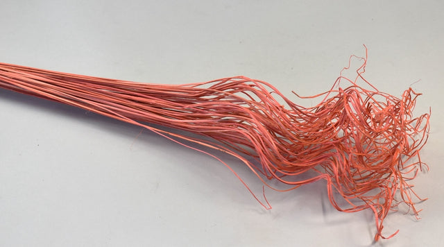 Image for Curly Ting Ting inalbit portocaliu