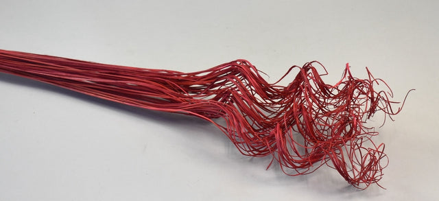 Image for Curly Ting Ting inalbit rosu