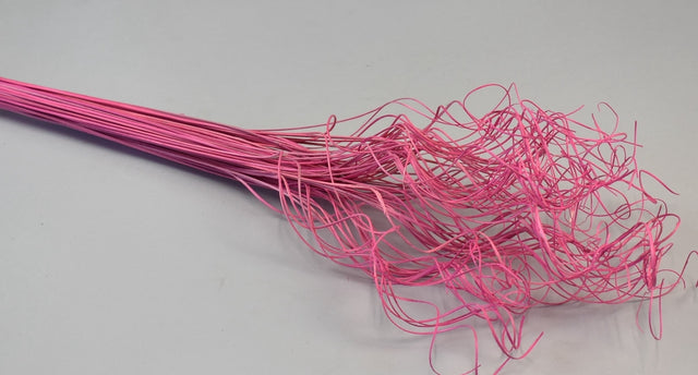 Image for Curly Ting Ting inalbit roz