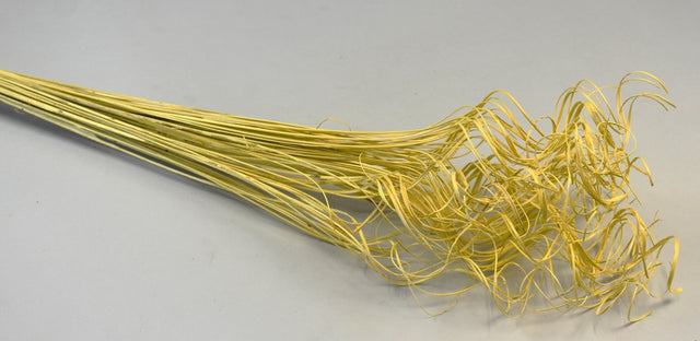 Image for Curly Ting Ting inalbit galben