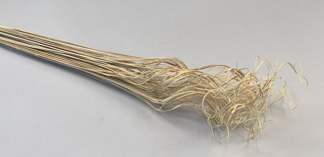 Image for Curly Ting Ting inalbit