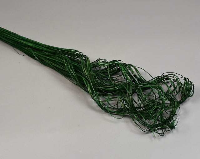 Image for Curly Ting Ting verde muschi