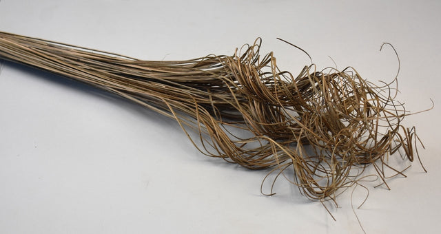 Image for Curly Ting Ting natur