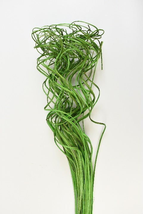 Image for Curly ting ting verde inchis