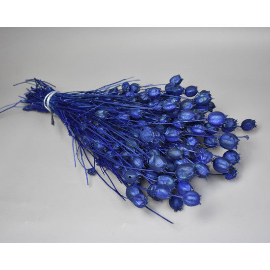 Nigella damascena 100gr inalbit albastru