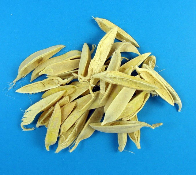 Image for Lily hard petal inalbit