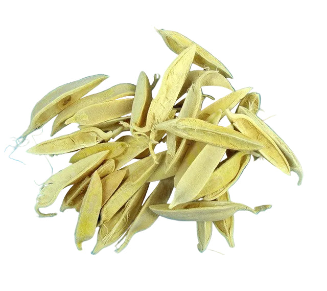 Image for Lily hard petal inalbit
