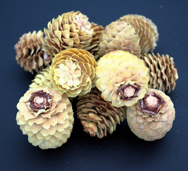 Image for Decorum crem
