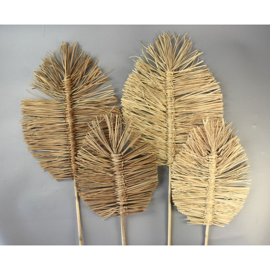 Eventail Dolo 75cm inalbit