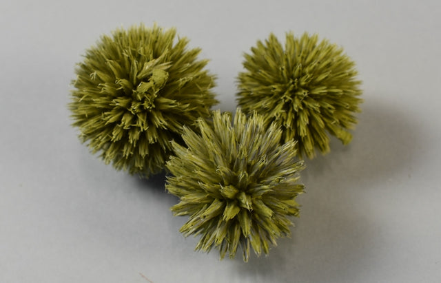 Image for Cap Echynops vopsit verde oliv