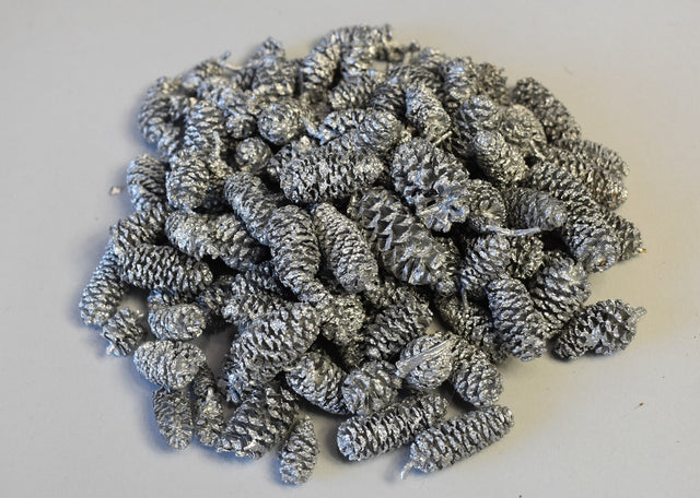 Image for Fructe arini indiane argintiu