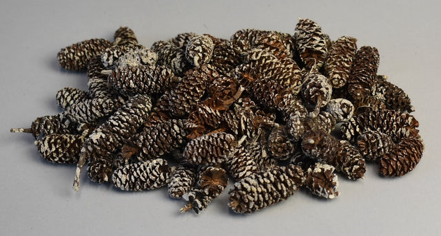 Image for Fructe arini inzapezite