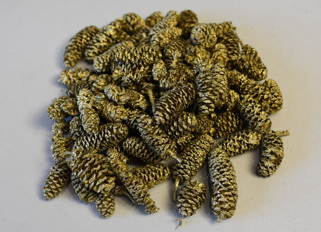 Image for Fructe arini indiane sampanie