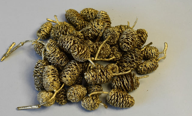 Image for Fructe arini uriase auriu