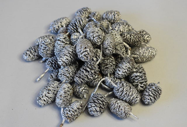 Image for Fructe arini uriase argintiu