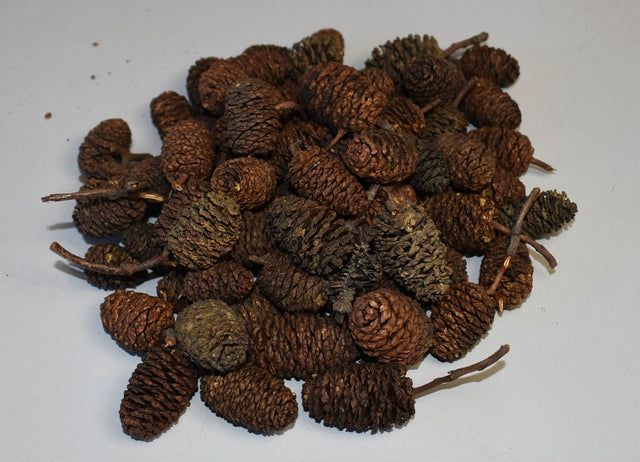 Image for Fructe arini uriase natur