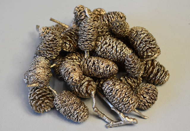 Image for Fructe arini uriase sampanie