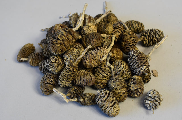 Image for Fructe arini uriase cu chiciura