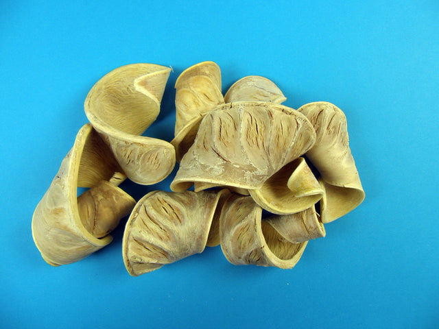 Image for Urechisori elefant india inalbit