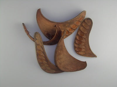 Image for Urechisori elefant india natur