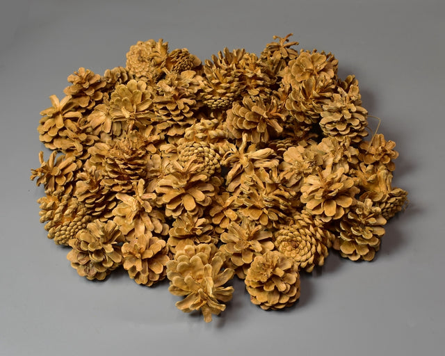 Conuri de pin 1kg crem