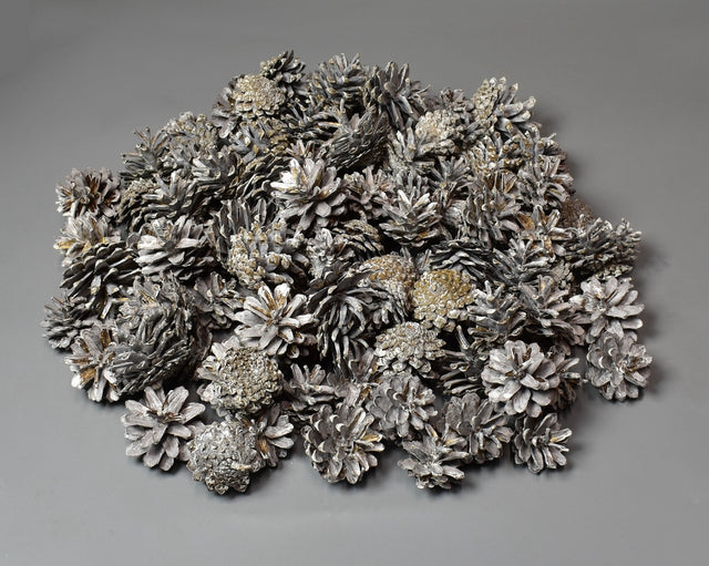 Image for Conuri de pin cu chiciura 1kg