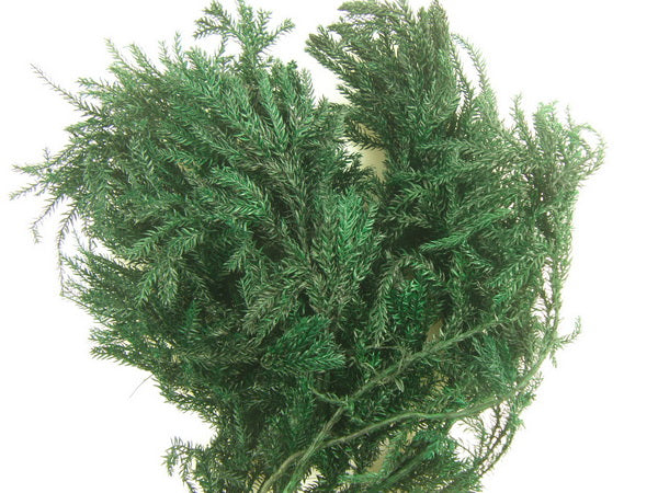 Image for Erikamoos verde deschis