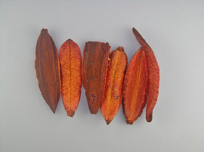 Image for Estrela portocaliu