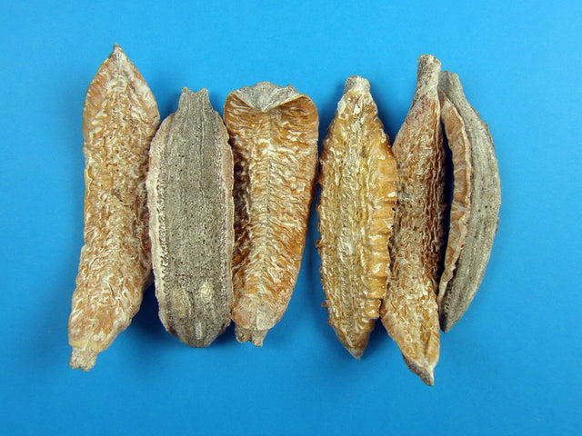 Image for Estrela cu chiciura