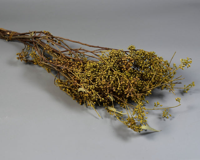 Image for Creanga eucalypt cu fructe natur