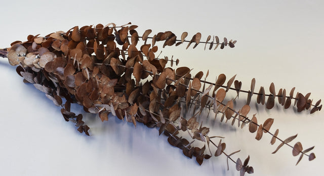 Image for Eukalypt baby blue preparat bordeaux