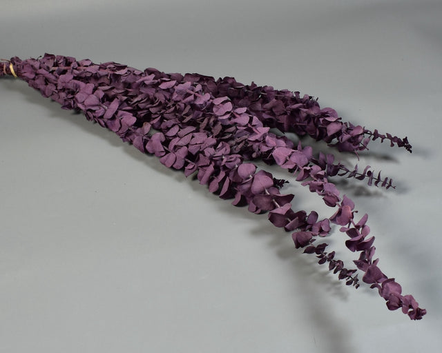 Image for Creanga Eukalypt baby blue prep. inalbit mov